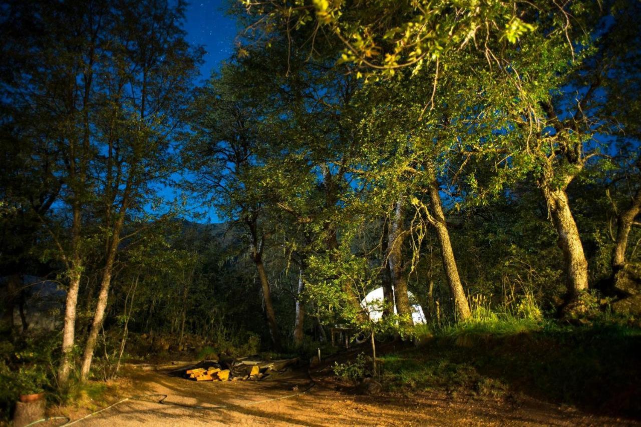 ホテルGlamping Domos Treepod ラス・トランカス エクステリア 写真